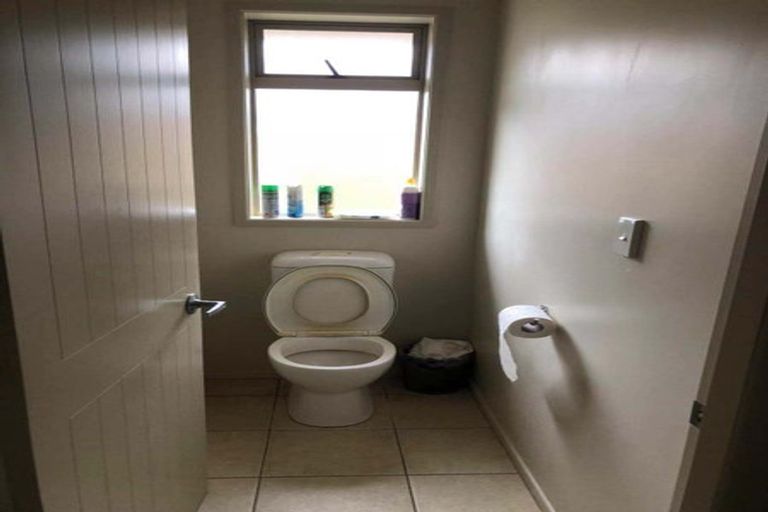 Photo of property in 31 Milbrook Place, Chartwell, Hamilton, 3210