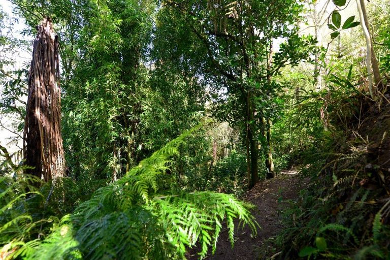 Photo of property in 83 Windmill Road, Tamahere, Hamilton, 3283