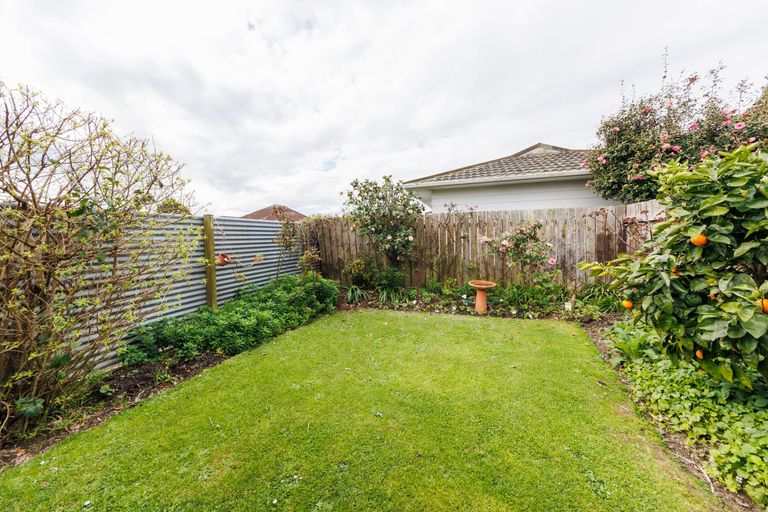Photo of property in 36a Wood Street, Takaro, Palmerston North, 4410