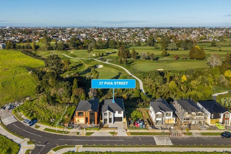 Photo of property in 37 Puia Street, Papatoetoe, 2025