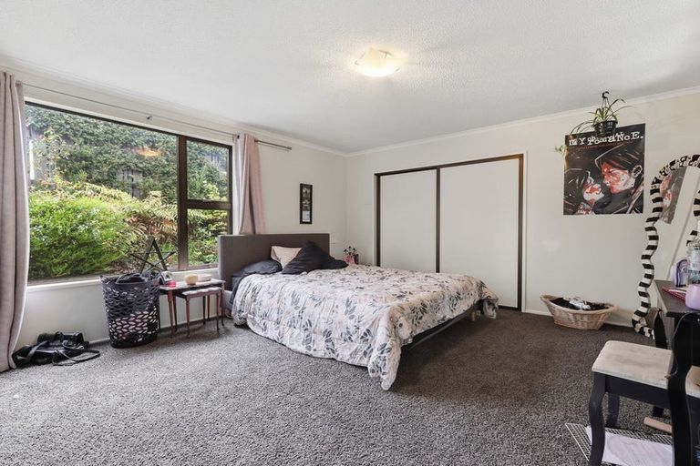 Photo of property in 19 Kildare Street, Waikouaiti, 9510