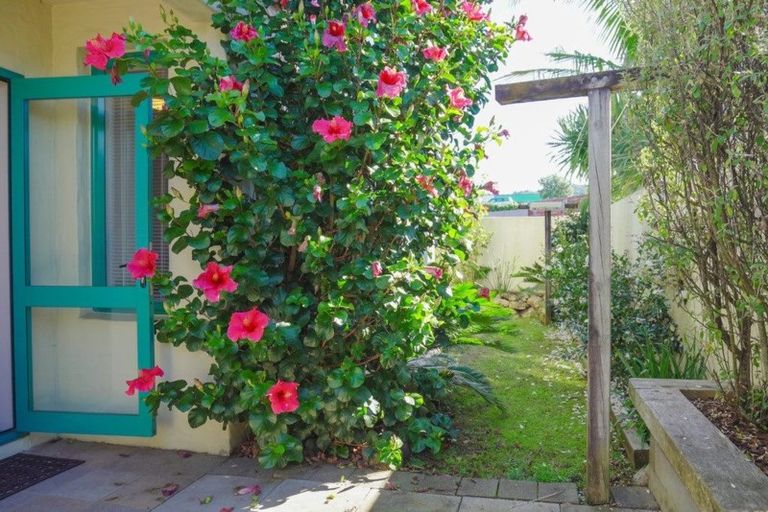 Photo of property in 7a Dent Street, Whangarei, 0110