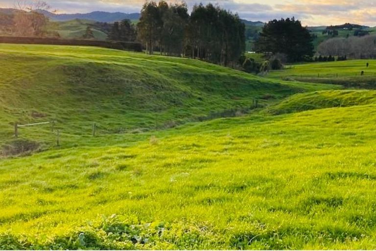 Photo of property in 562 Trig Road, Waihi, 3681