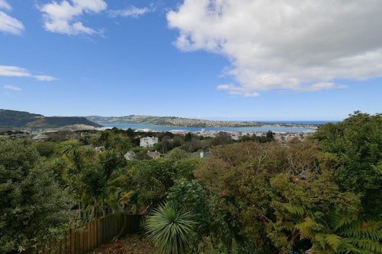 Photo of property in 24 Tweed Street, Roslyn, Dunedin, 9010