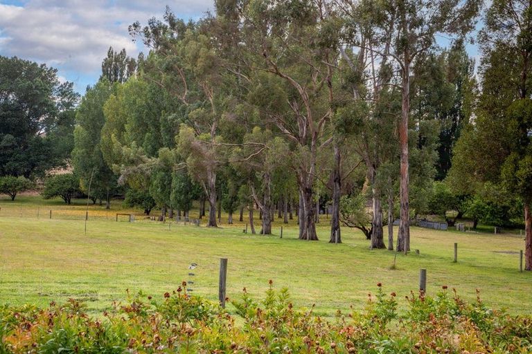 Photo of property in 569 Dunstan Road, Alexandra, 9391