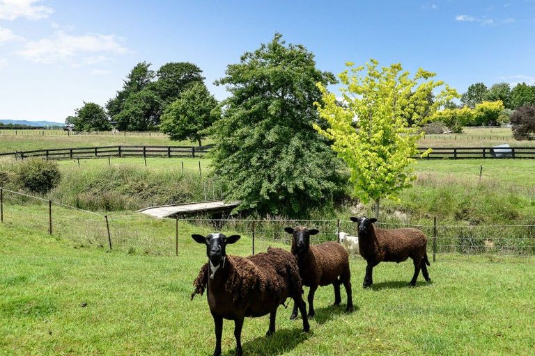 Photo of property in 33 Mellow Road, Ohaupo, 3881