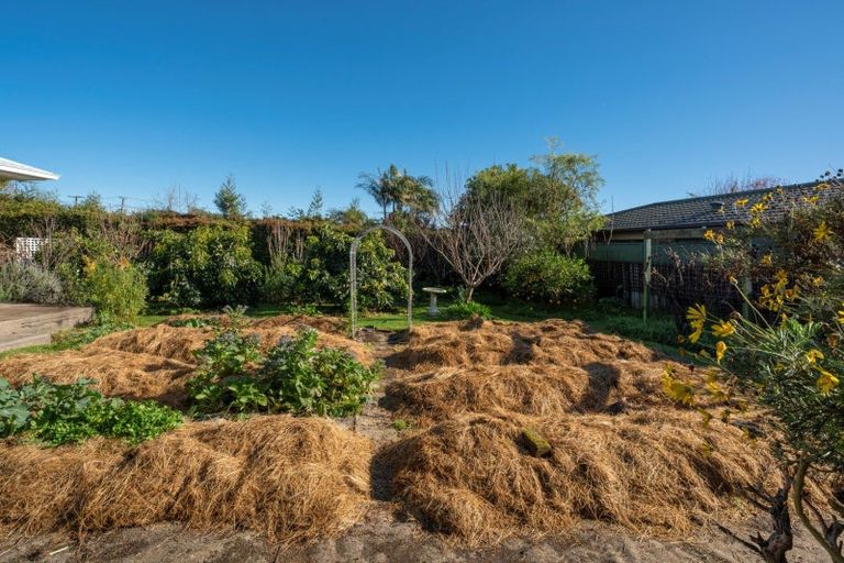 Photo of property in 289 Chadwick Road, Gate Pa, Tauranga, 3112