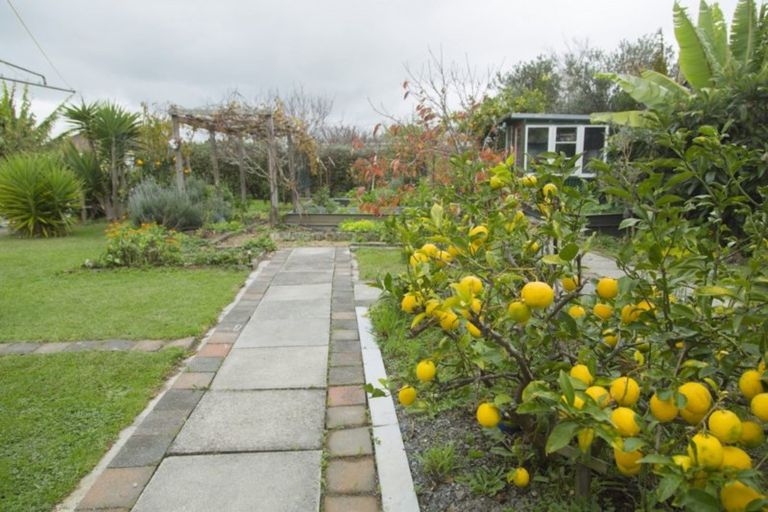 Photo of property in 79 Gordon Street, Dargaville, 0310