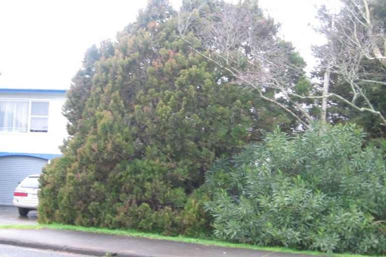 Photo of property in 18 Opaheke Road, Papakura, 2110