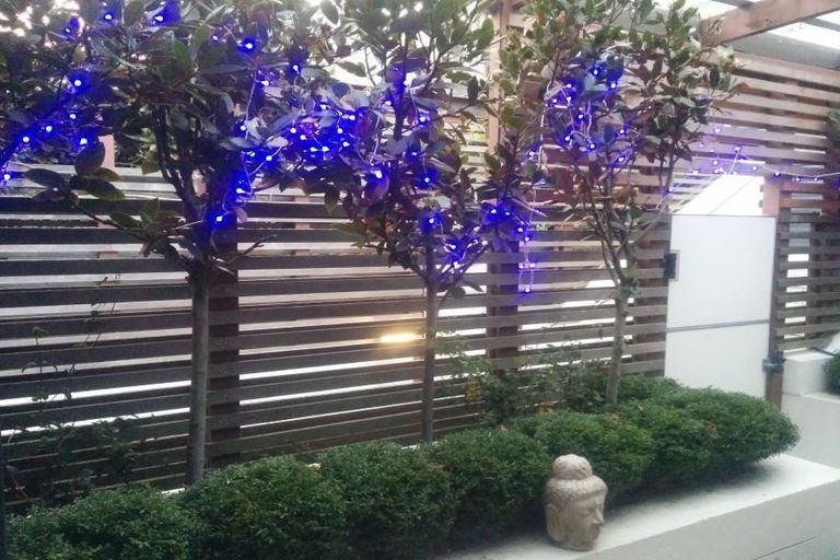 Photo of property in Sol Apartments, 28/37 Jessie Street, Te Aro, Wellington, 6011