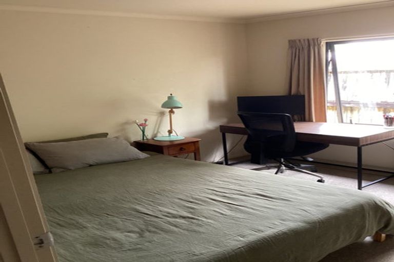 Photo of property in 17 Watkins Road, Cambridge, 3434