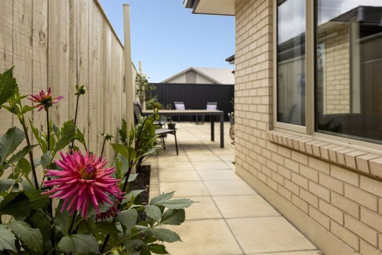 Photo of property in 48a Adams Lane, Springlands, Blenheim, 7201