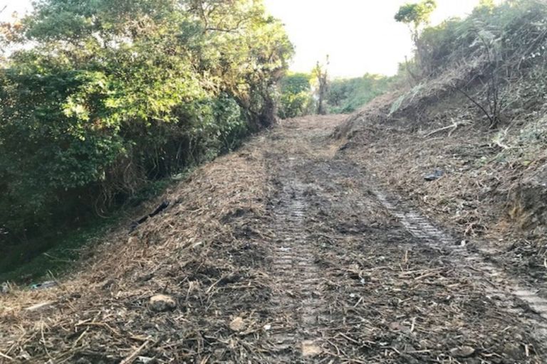 Photo of property in 75 Camperdown Road, Miramar, Wellington, 6022