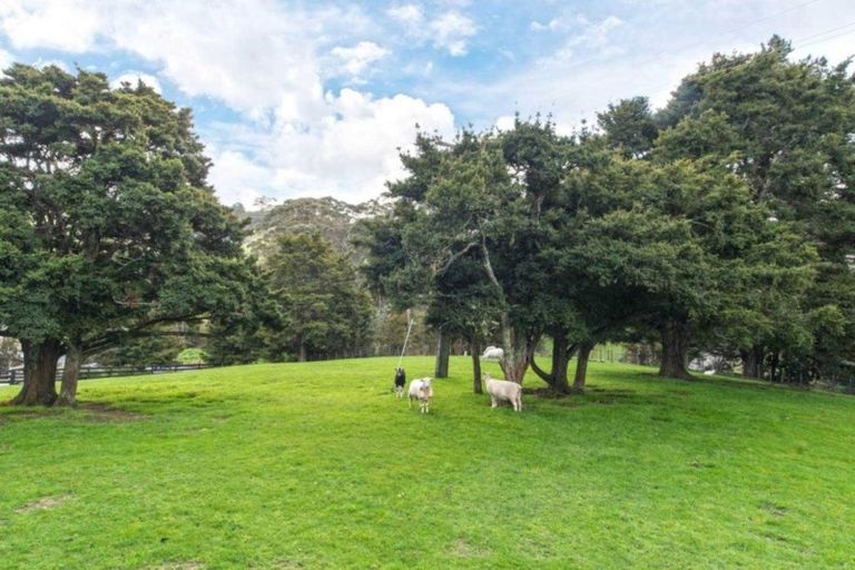 Photo of property in 202 Rapson Road, Kaukapakapa, 0871