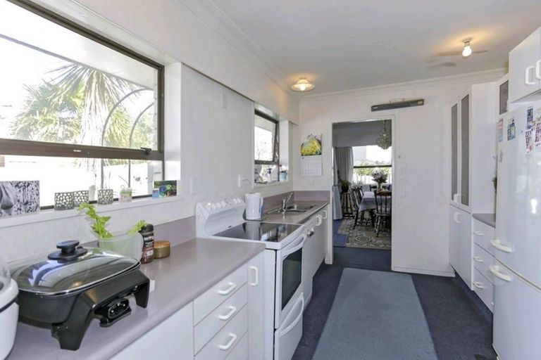 Photo of property in 79a Seventh Avenue, Tauranga, 3110
