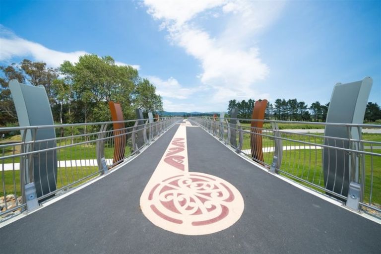 Photo of property in 63 Dittmer Drive, Awapuni, Palmerston North, 4412