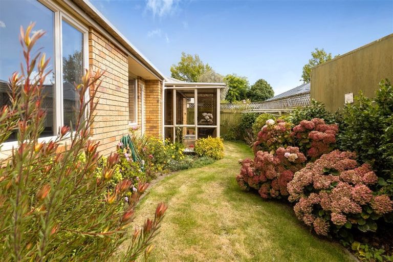 Photo of property in 33b Litchfield Street, Redwoodtown, Blenheim, 7201