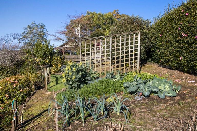 Photo of property in 181e Omokoroa Road, Omokoroa, 3114