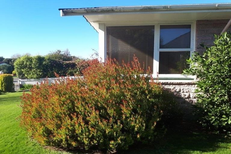 Photo of property in 19 Birkenhead Street, Avonhead, Christchurch, 8042