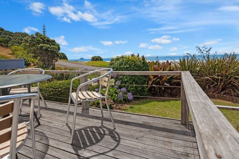 Photo of property in 1236 State Highway 2, Waiotahi, Opotiki, 3198
