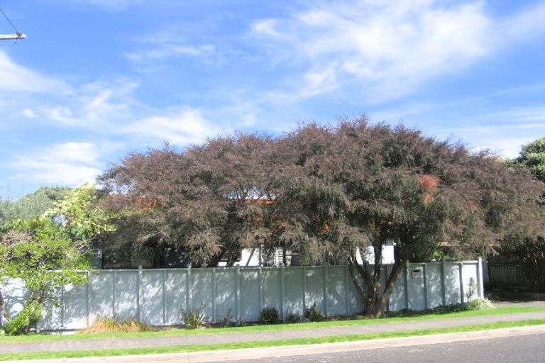 Photo of property in 32a Campbell Road, Mount Maunganui, 3116