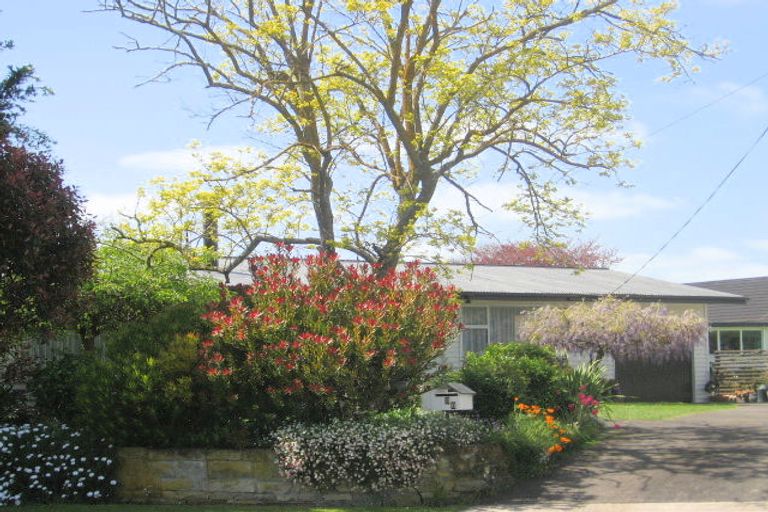 Photo of property in 36 Osborne Avenue, Morrinsville, 3300