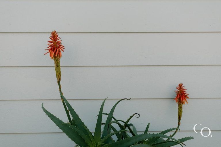 Photo of property in 409 Kotuku Street, Camberley, Hastings, 4120