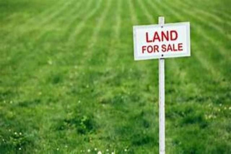Photo of property in 32 Kaapehu Street, Karaka, 2578