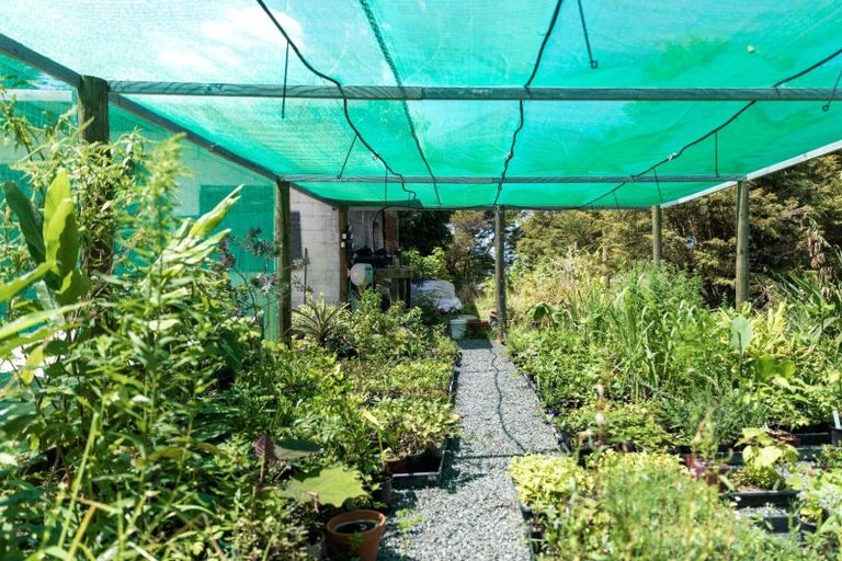 Photo of property in 425 Hot Springs Road, Tahawai, Katikati, 3178