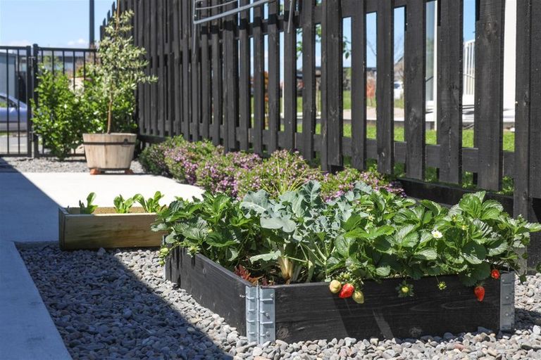 Photo of property in 132 Rimu Street, Te Kauwhata, 3710