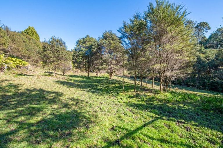 Photo of property in 341 Kanohi Road, Kaukapakapa, 0873