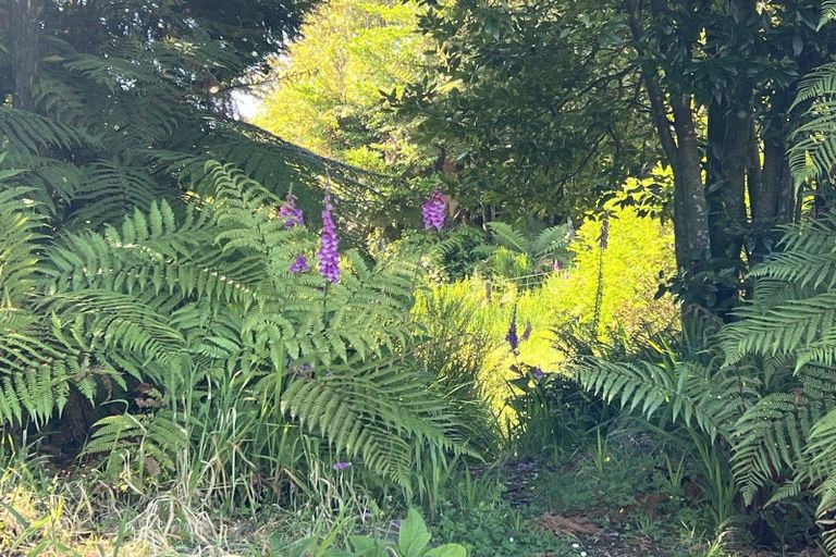 Photo of property in 464 Stafford Loop Road, Awatuna, Hokitika, 7882