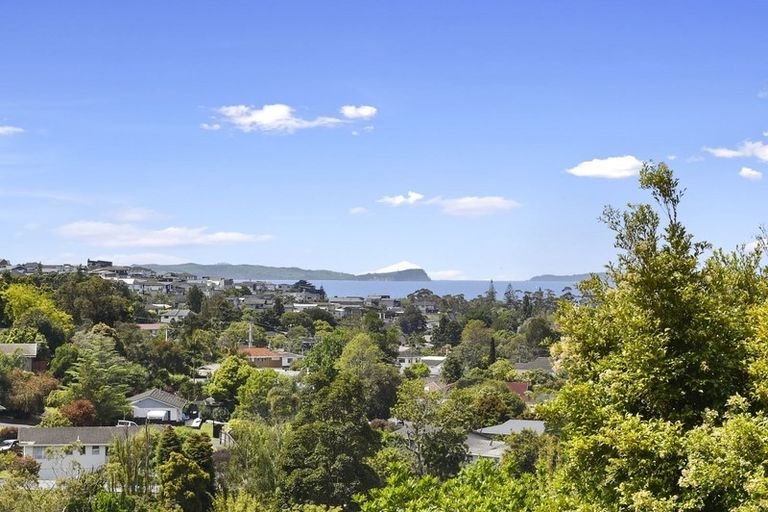 Photo of property in 119 Stredwick Drive, Torbay, Auckland, 0630