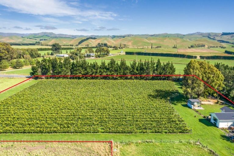 Photo of property in 1114 Omihi Road, Omihi, Amberley, 7483