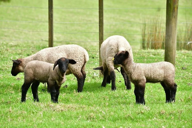 Photo of property in 570 Mahurangi East Road, Algies Bay, Warkworth, 0920