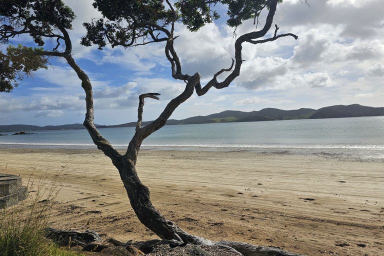 Photo of property in 121 Ohawini Road, Oakura, Hikurangi, 0184