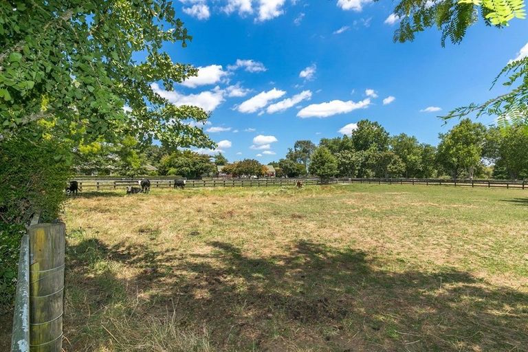 Photo of property in 141 Racecourse Road, Cambridge, 3493