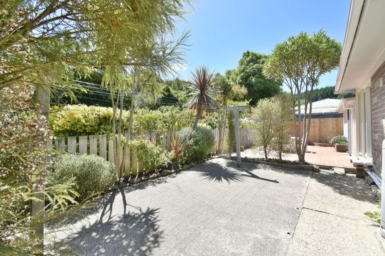 Photo of property in 157 Norwood Street, Normanby, Dunedin, 9010
