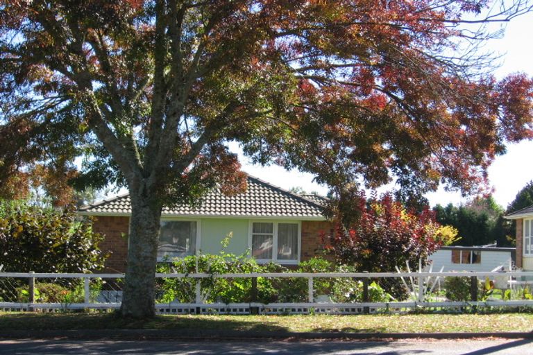 Photo of property in 137 Arapuni Street, Putaruru, 3411