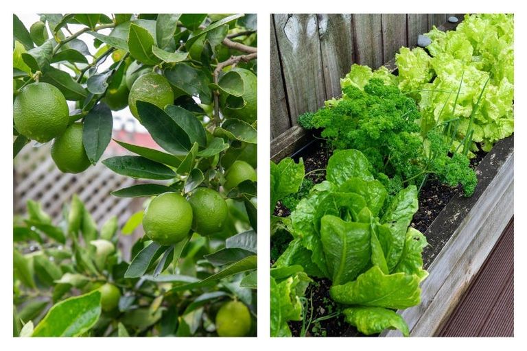 Photo of property in 75c Pooles Road, Greerton, Tauranga, 3112