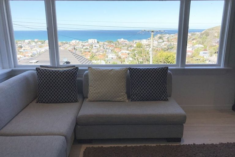 Photo of property in 14 Coney Hill Road, Saint Clair, Dunedin, 9012