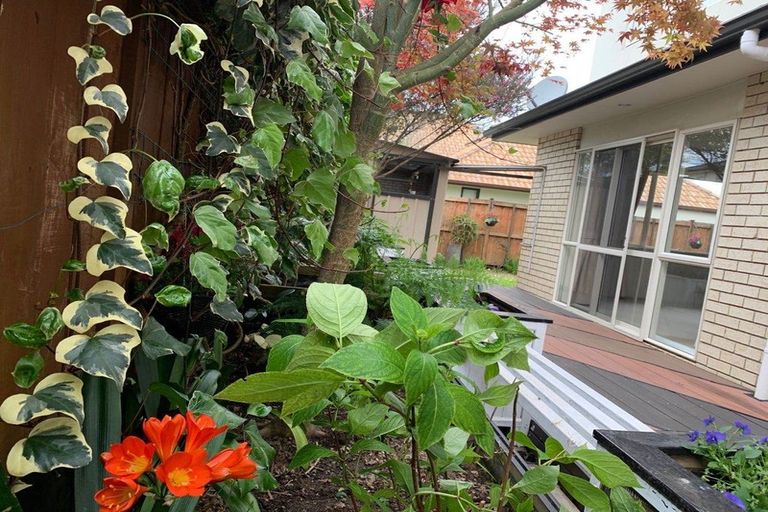 Photo of property in 9 Walnut Lane, Browns Bay, Auckland, 0630