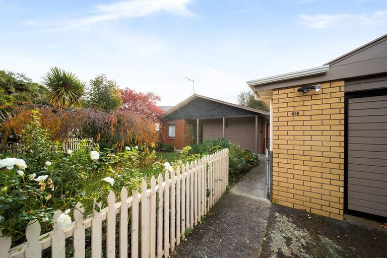 Photo of property in 82b Carrington Street, Lower Vogeltown, New Plymouth, 4310