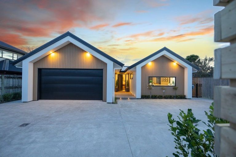 Photo of property in 110a Fitzroy Street, Terrace End, Palmerston North, 4410