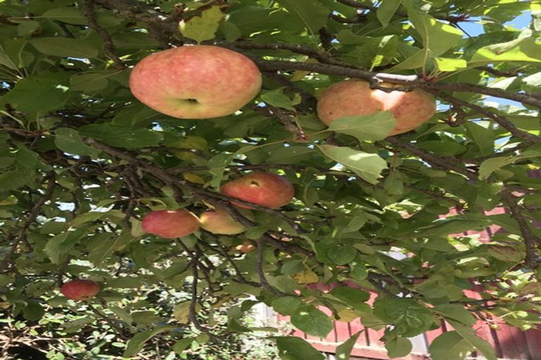 Photo of property in 16 Boundary Road, Lincoln, 7608