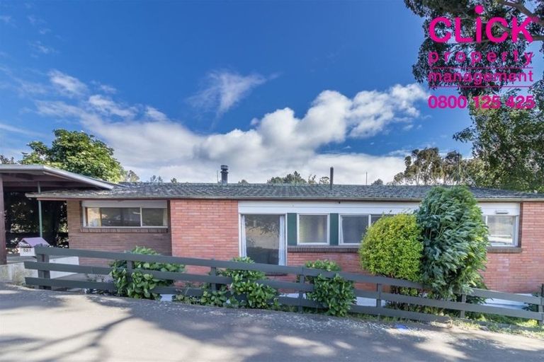 Photo of property in 524 South Road, Calton Hill, Dunedin, 9012