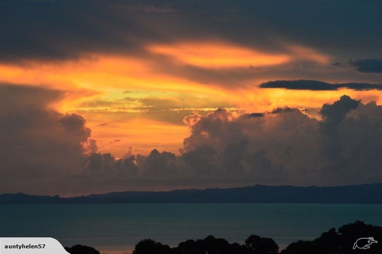 Photo of property in 103 Campbell Street, Thames, 3500