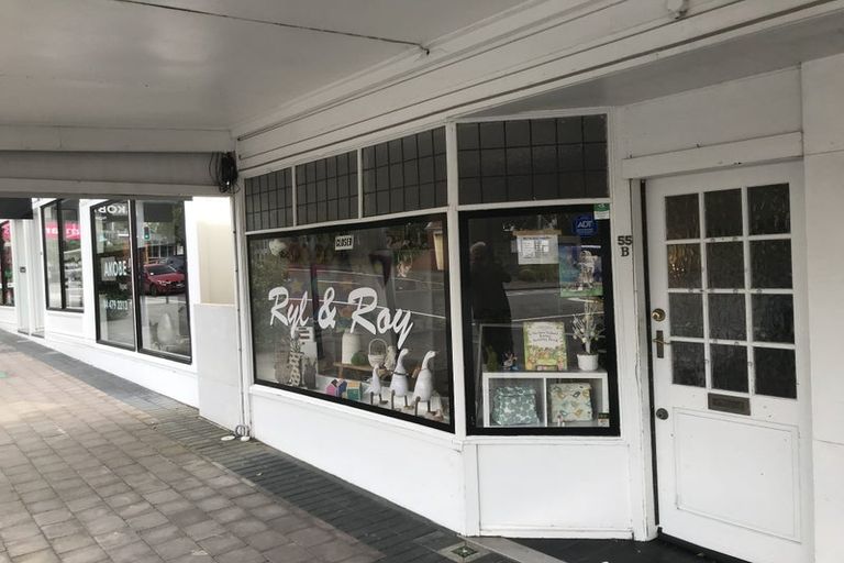 Photo of property in 55 Ottawa Road, Ngaio, Wellington, 6035