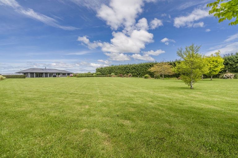 Photo of property in 115 Mill Road South, Seaward Bush, Invercargill, 9871