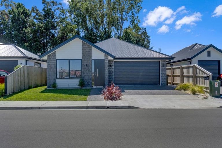 Photo of property in 73 Henshaw Street, Woodend, 7610